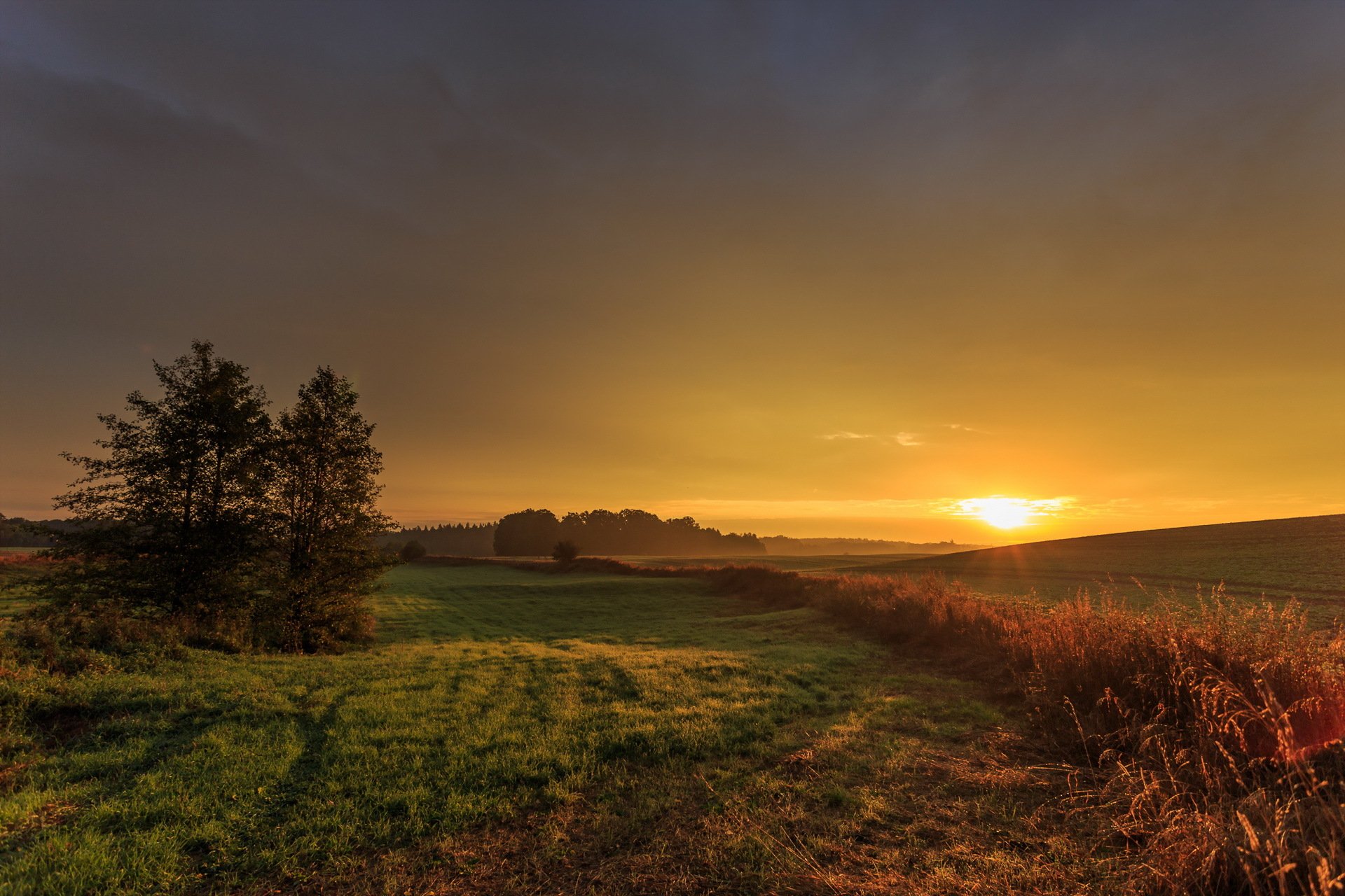 campo puesta de sol paisaje