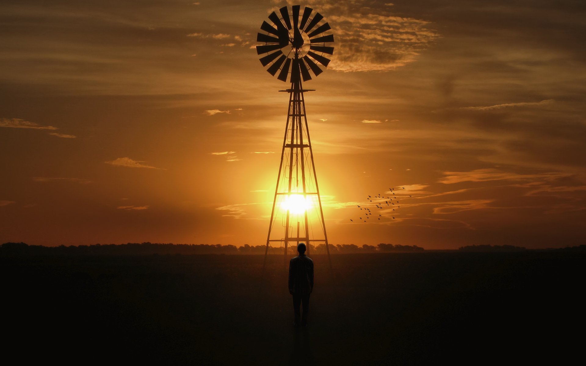 paesaggio mulino tramonto uomo sole uccelli