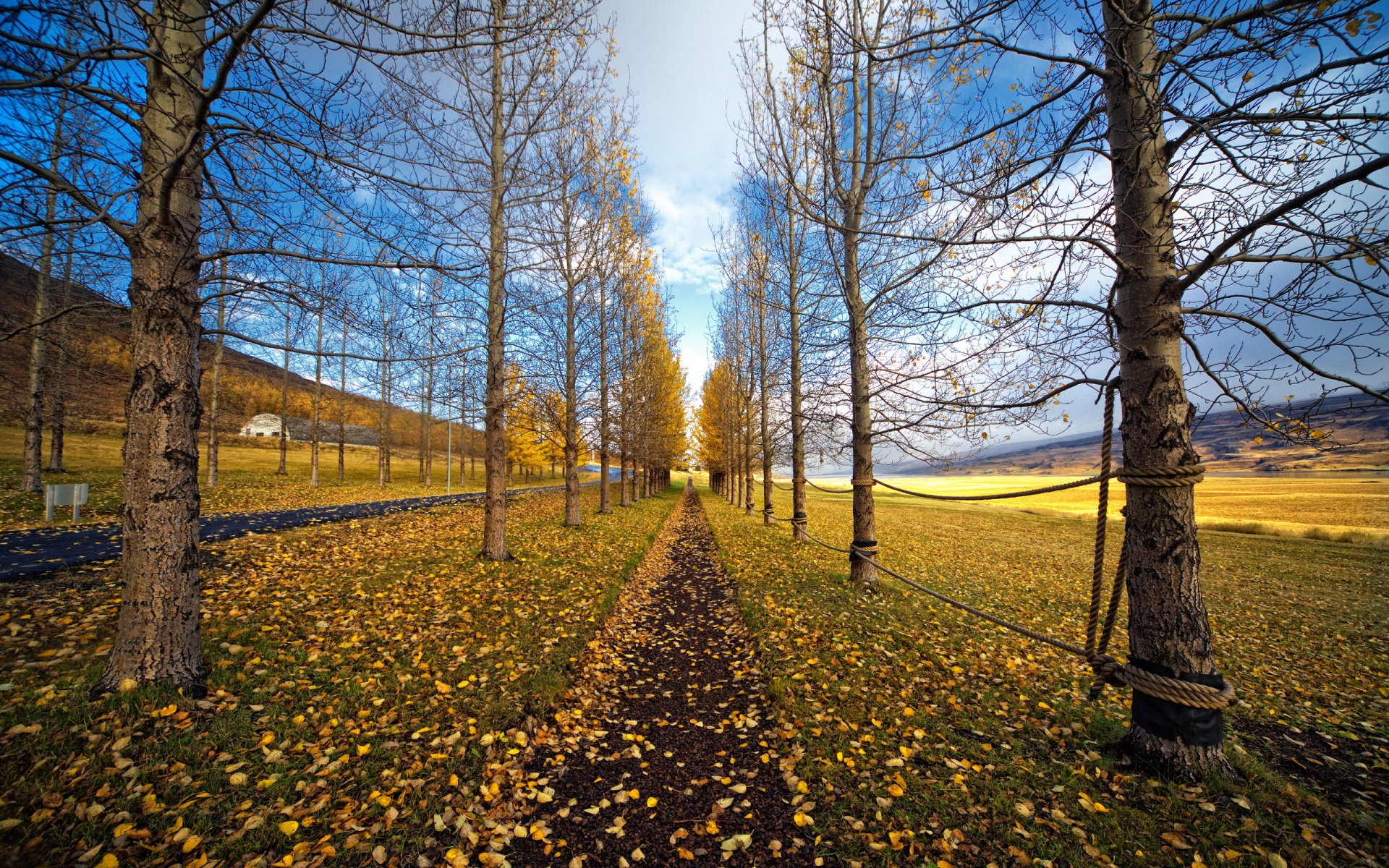 road autumn nature