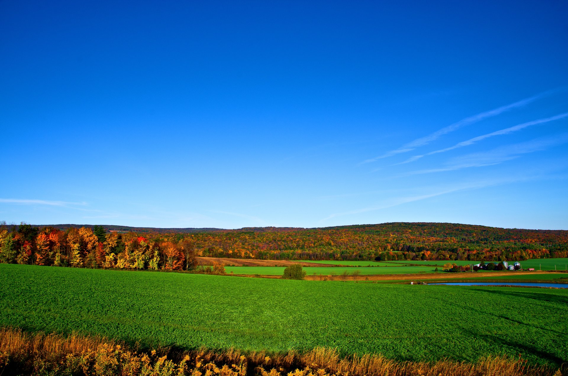 ky horizon forest tree the field autumn