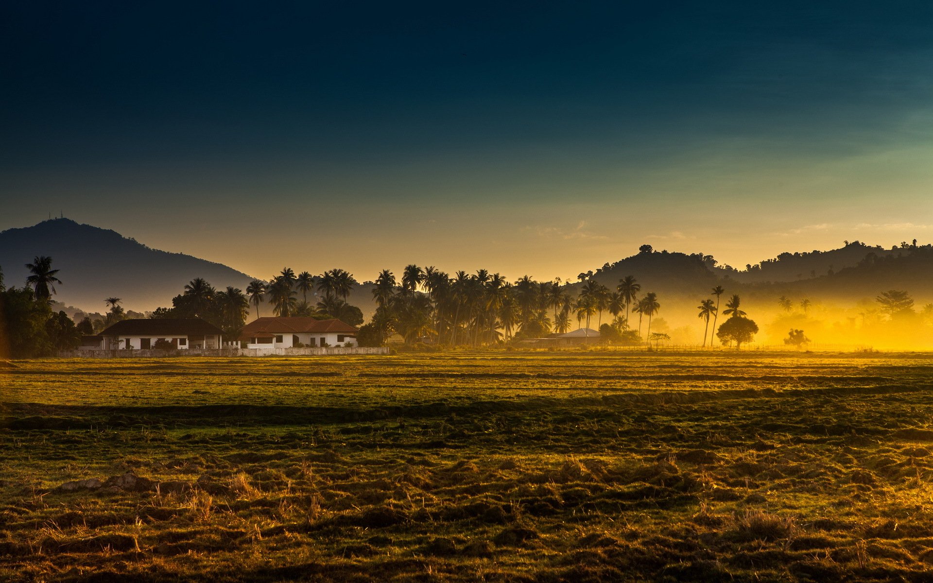 morning the field fog landscape