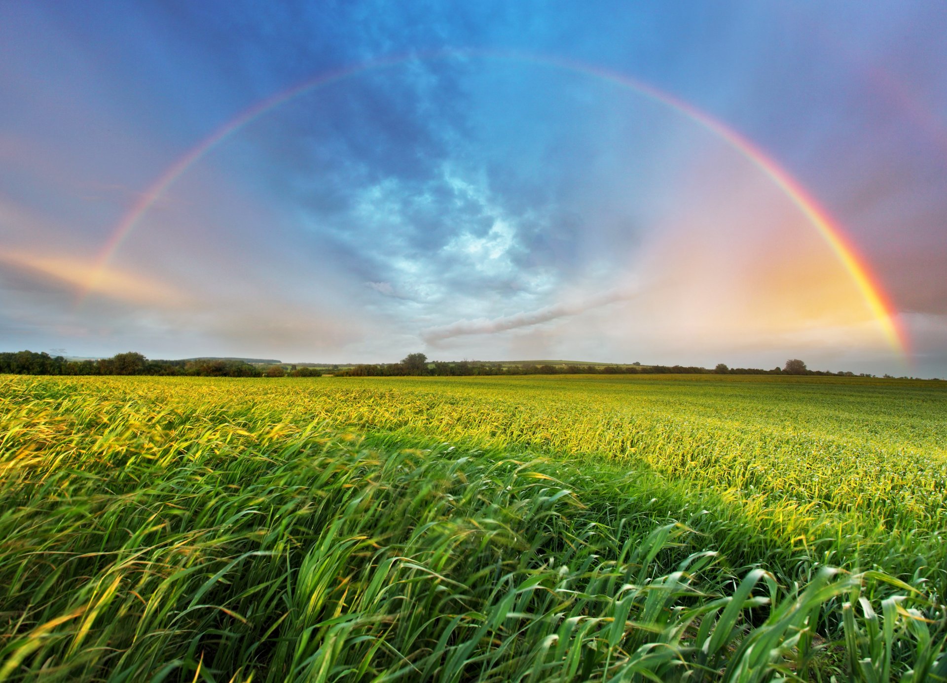 paysage arc-en-ciel herbe espace été