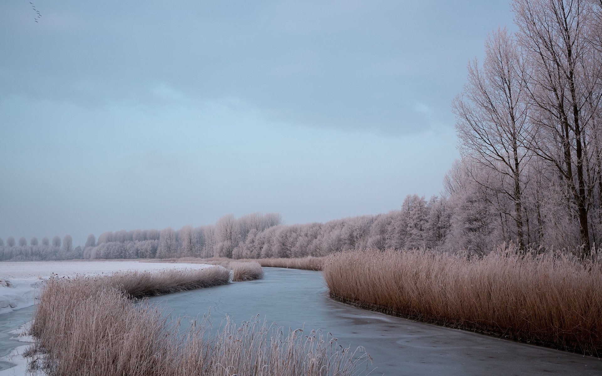 rivière hiver nature