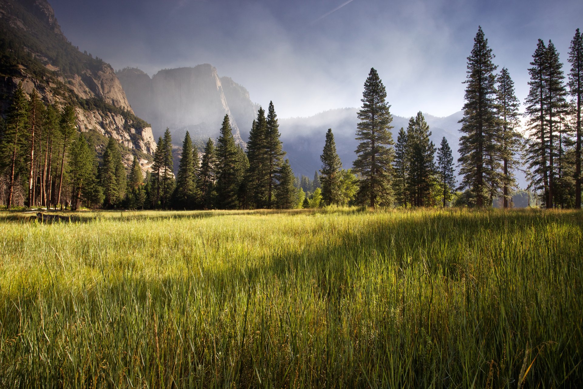 łąka yosemite wcześnie rano