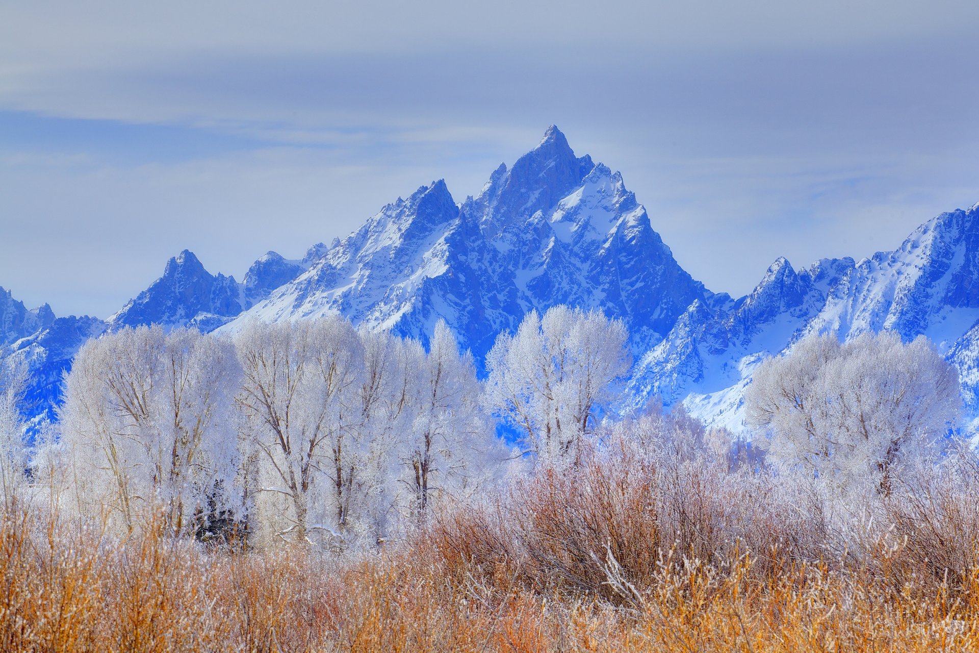 park narodowy grand teton wyoming usa niebo drzewa zima śnieg szron góry