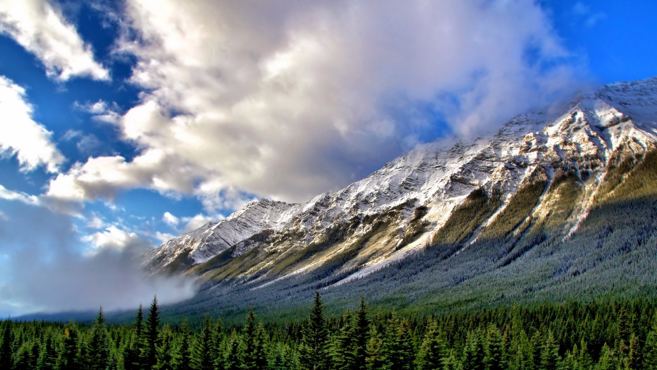 mountain fog landscape