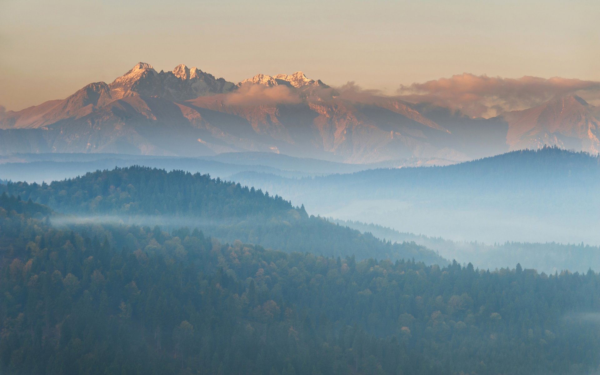 paesaggio montagna foresta panorama