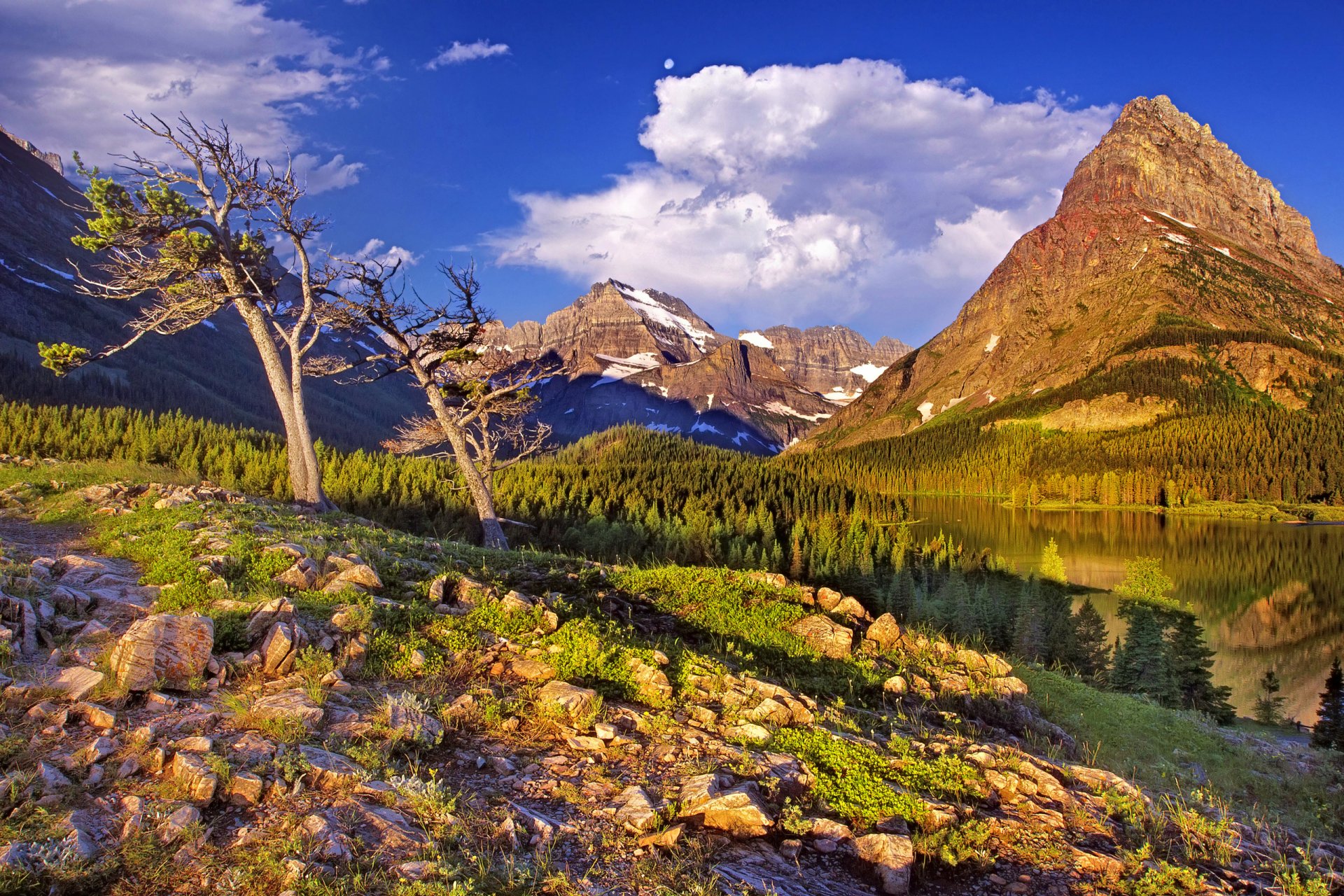 glacier national park mountain sky tree forest lake stones grass clouds snow