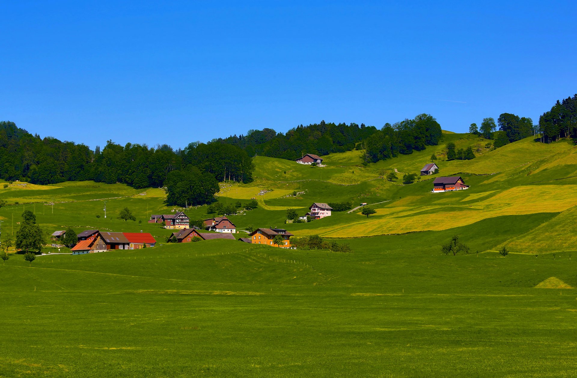 niebo wzgórza pole trawa drzewa domy