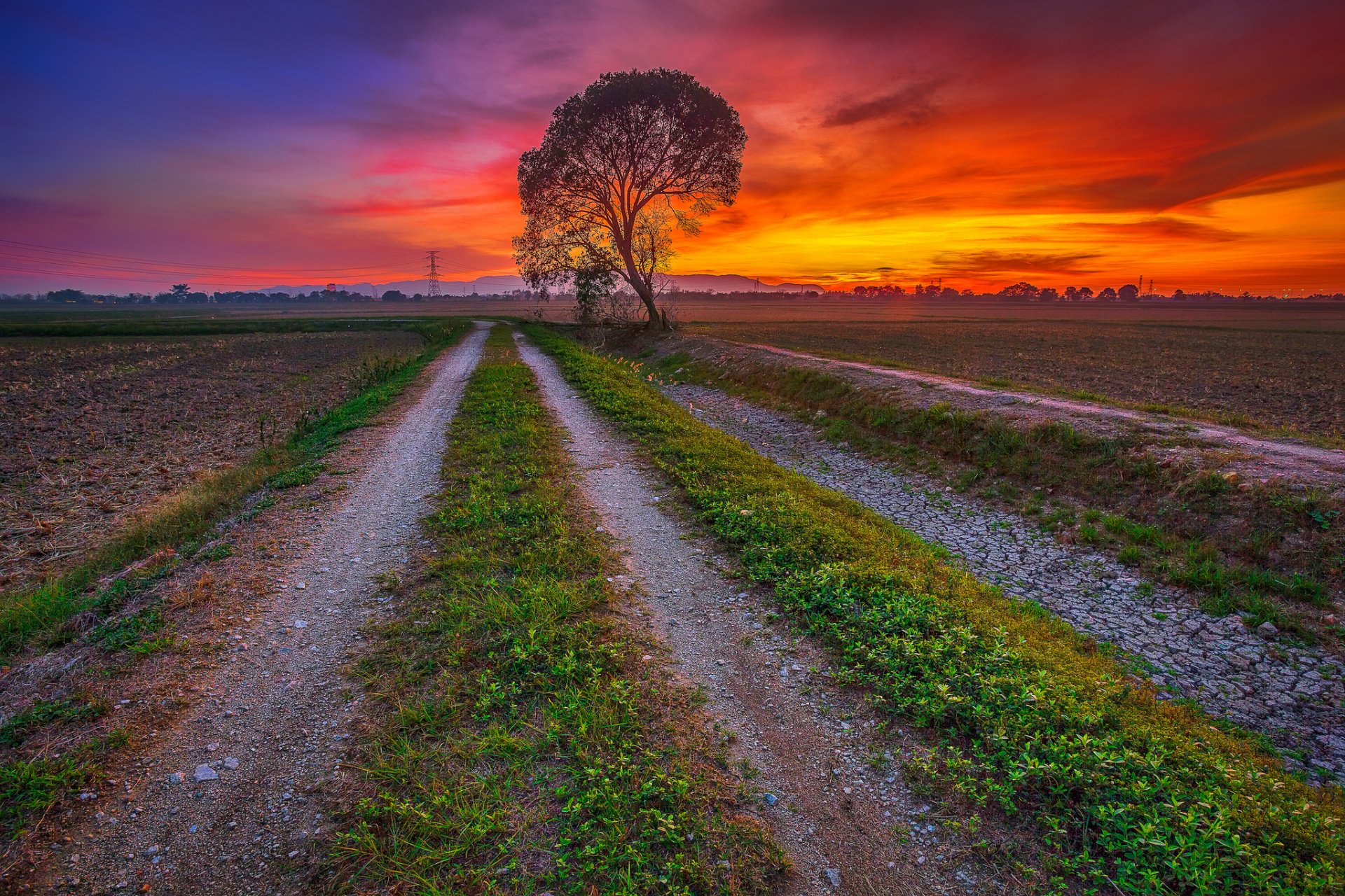 cielo nuvole tramonto bagliore strada campo albero