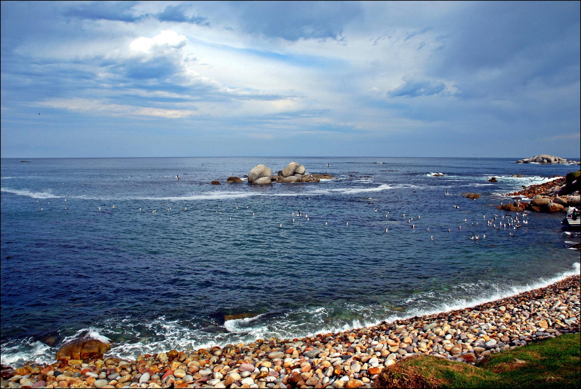 mer plage pierres oiseaux