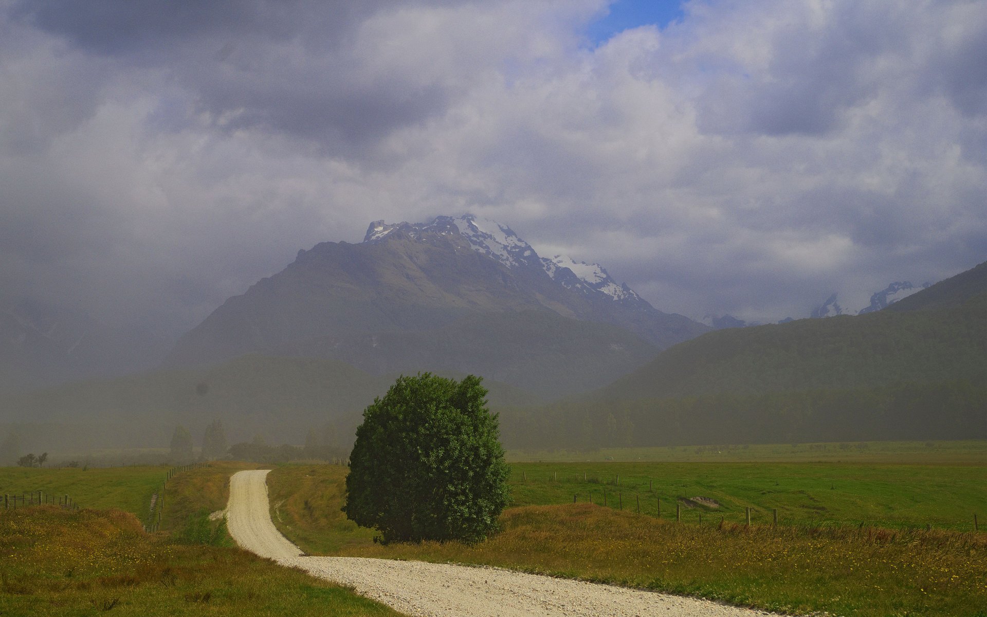 neuseeland berge feld straße baum nebel