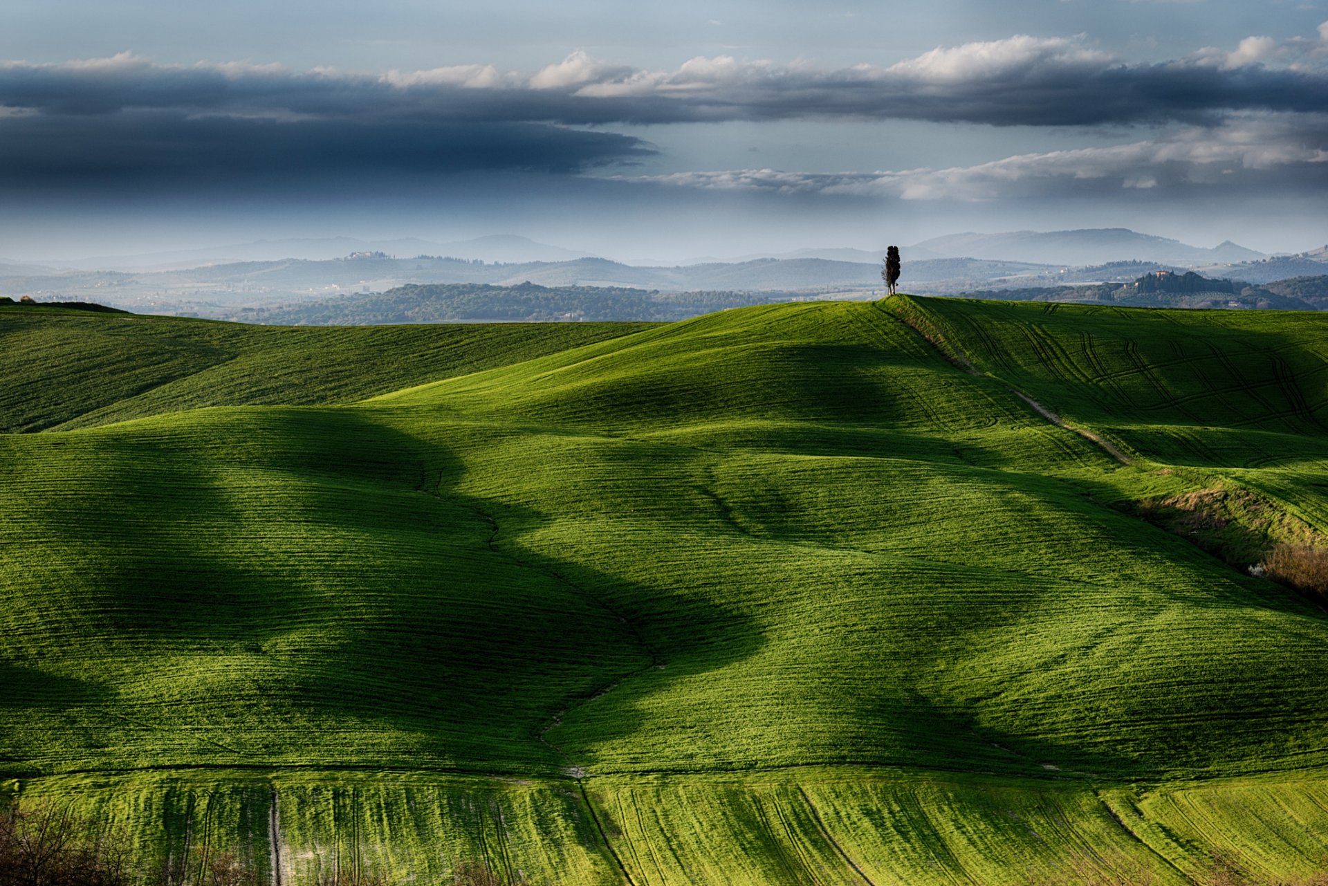 italia toscana campi albero cielo nuvole