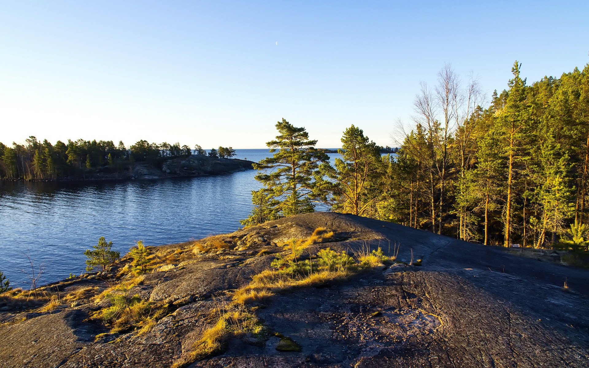 meer bäume natur landschaft