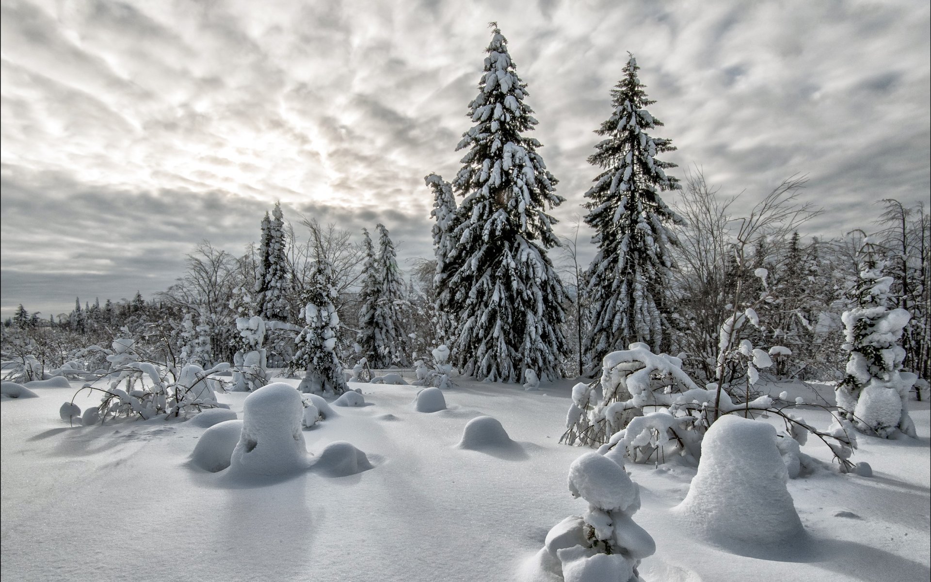 hiver neige paysage