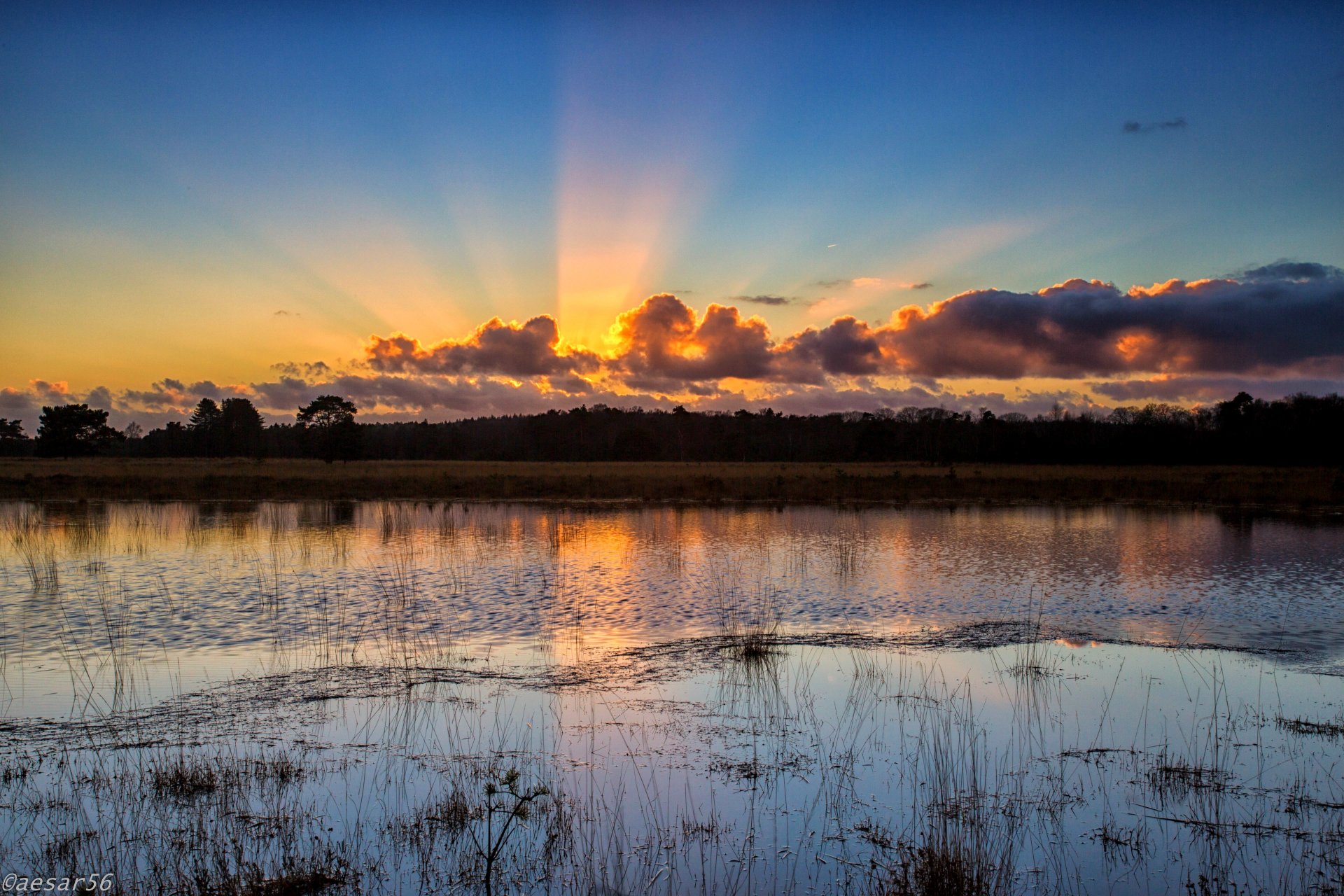 lake water tree sky clouds sun sunset