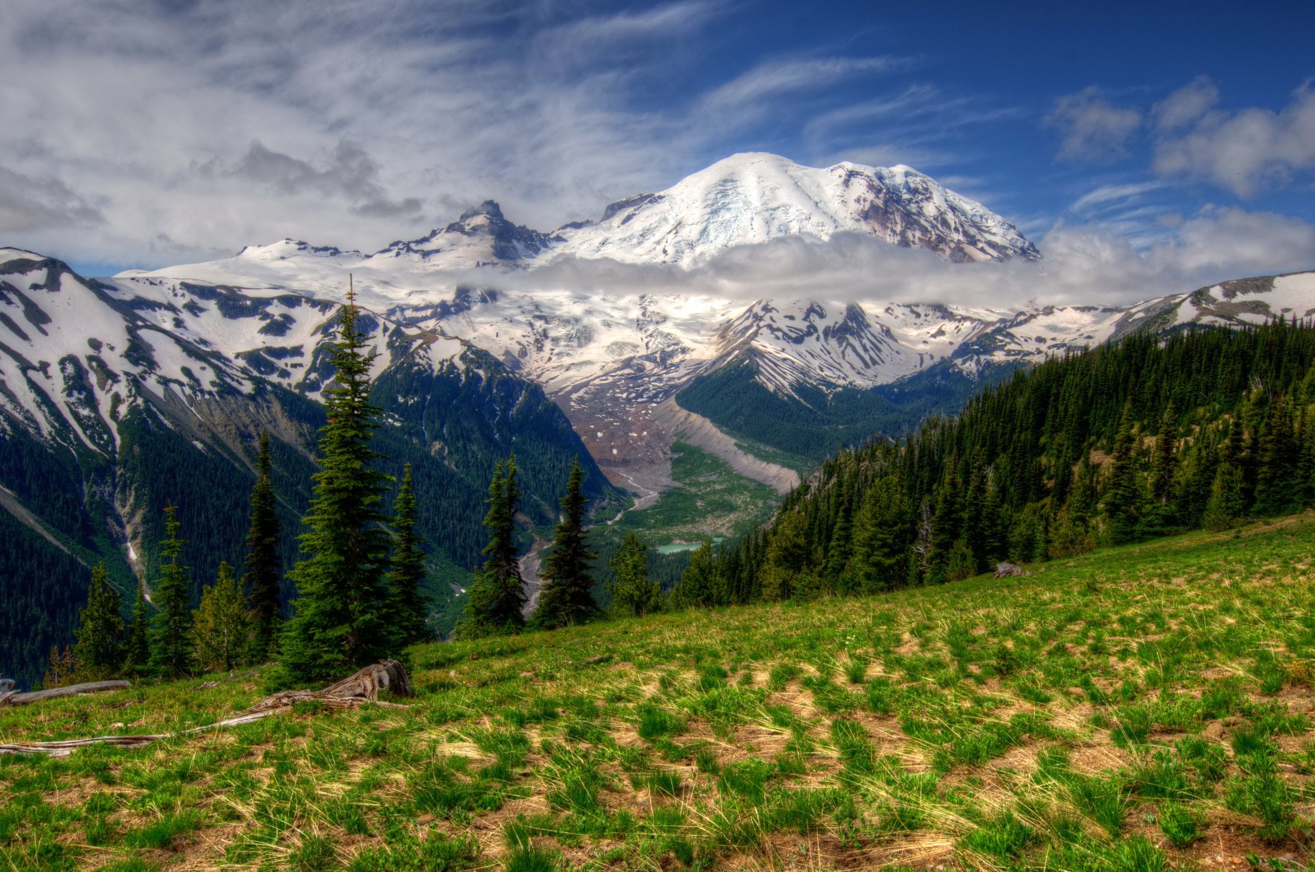 park berge landschaft mf rainier washington gras hdr natur