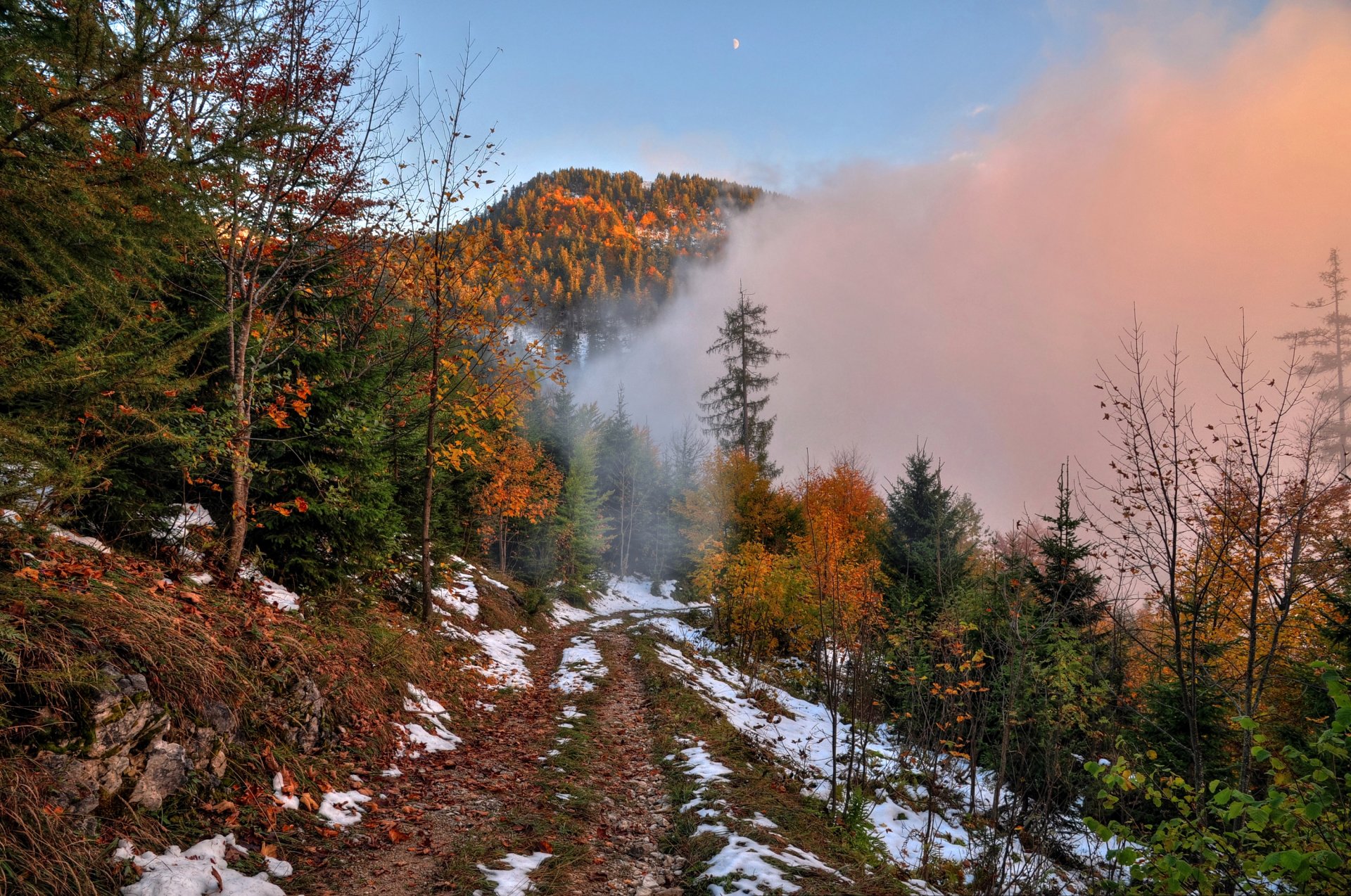 cielo luna nebbia autunno neve foresta montagne strada alberi