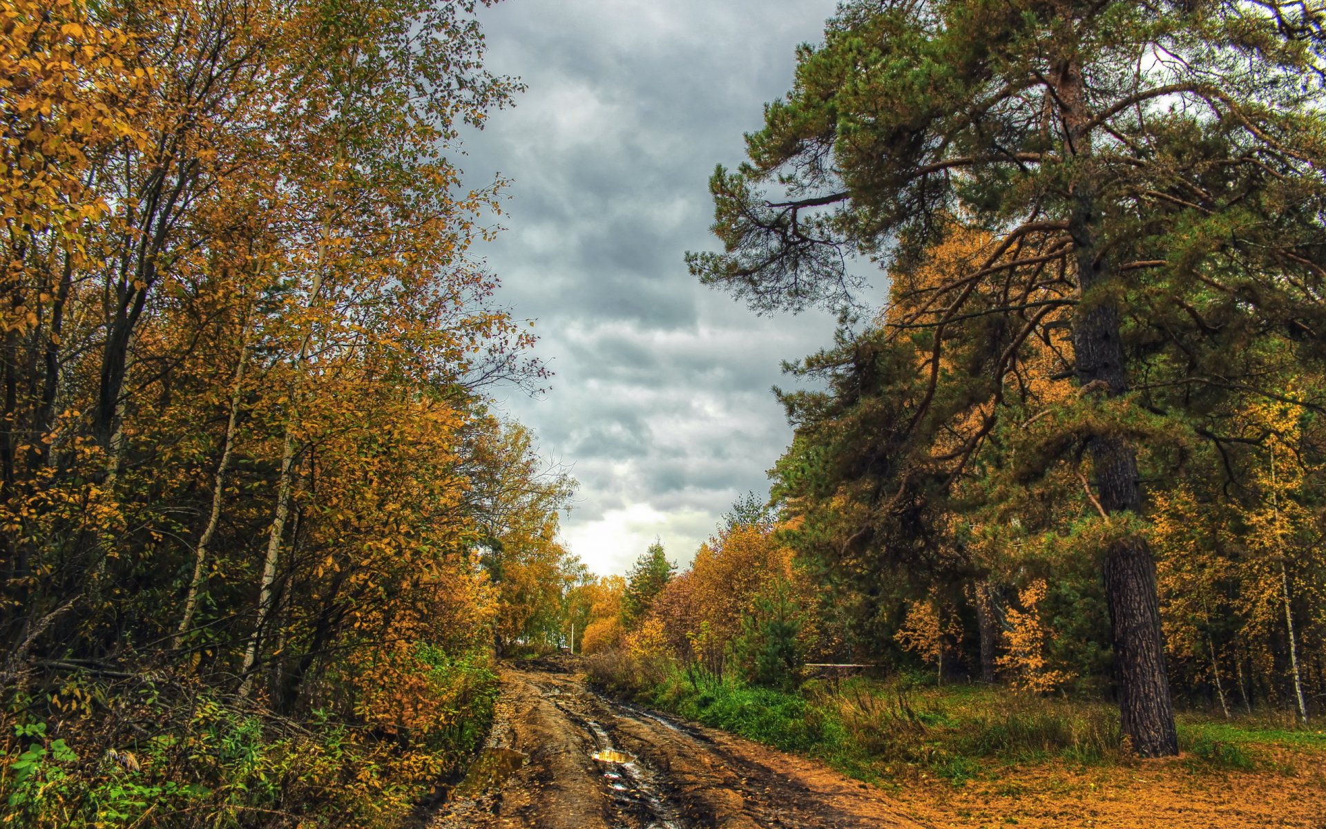 strada autunno paesaggio