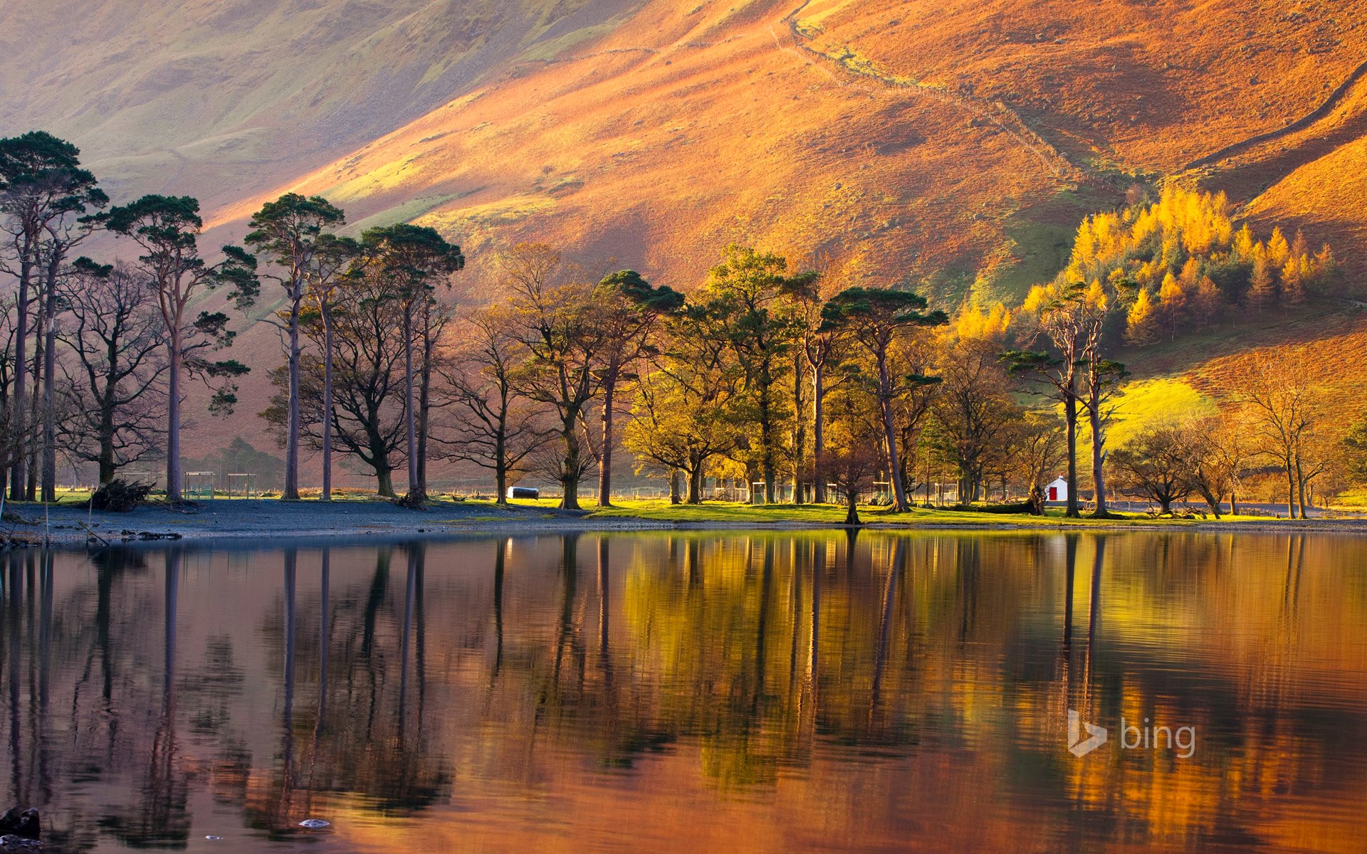 inghilterra lake district national park montagna pendio alberi tramonto lago casa