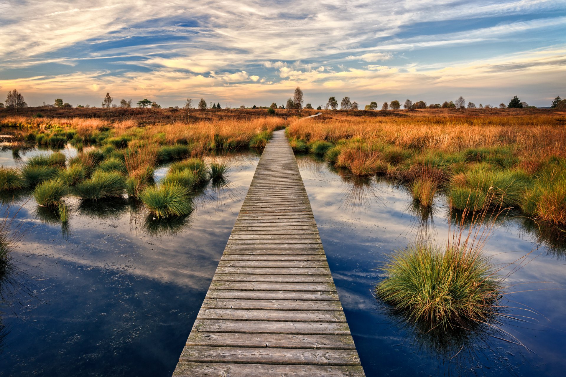 lago protuberancias puente madera otoño bélgica