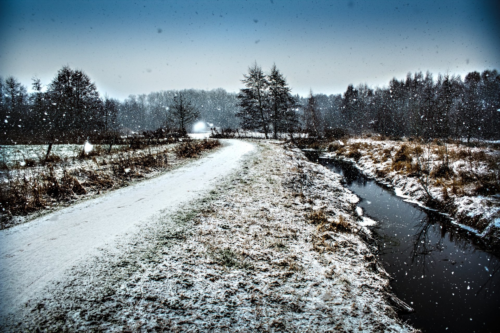 forest road snow