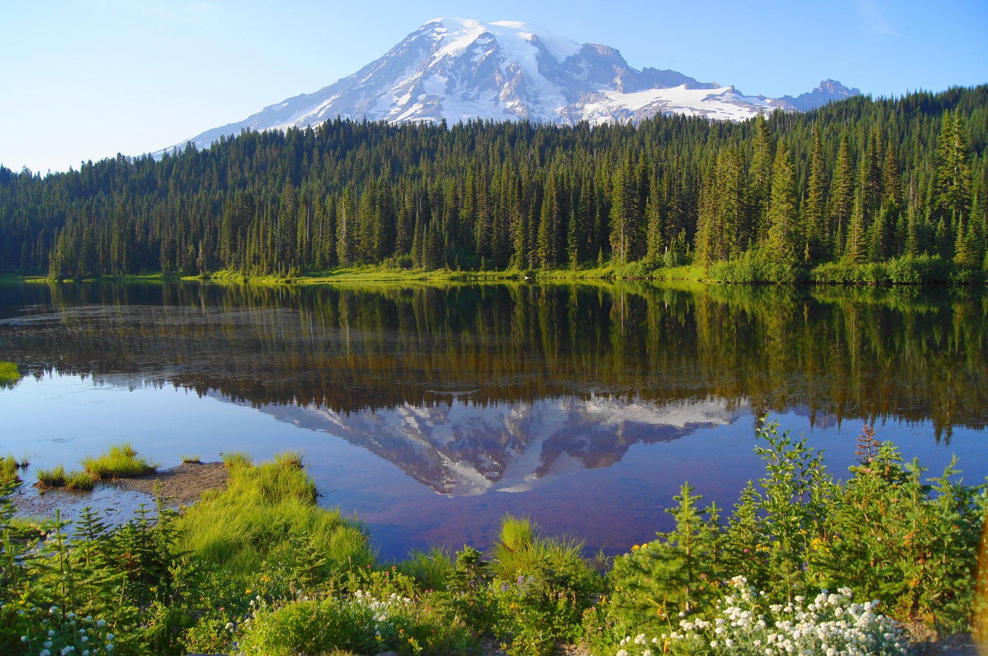 ciel montagnes neige arbres lac réflexion forêt fleurs