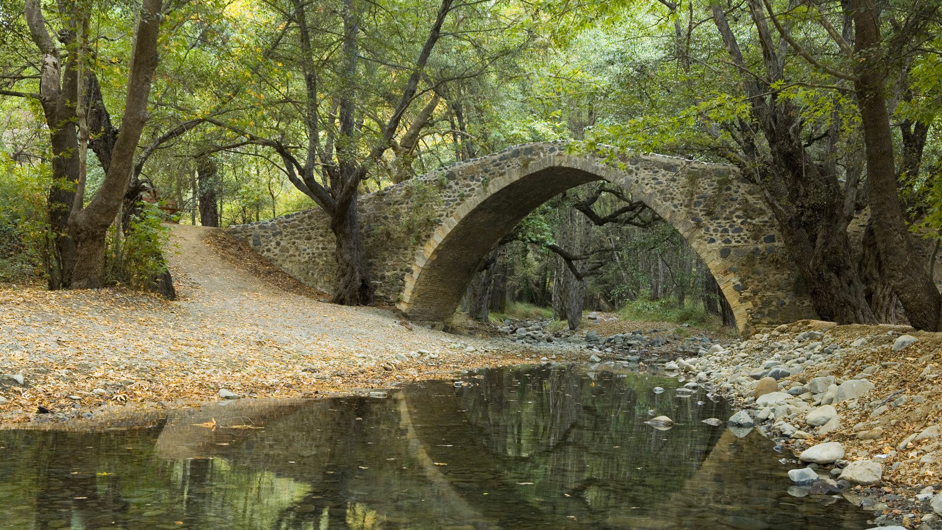 las drzewa rzeka strumień most liście kamienie odbicie park