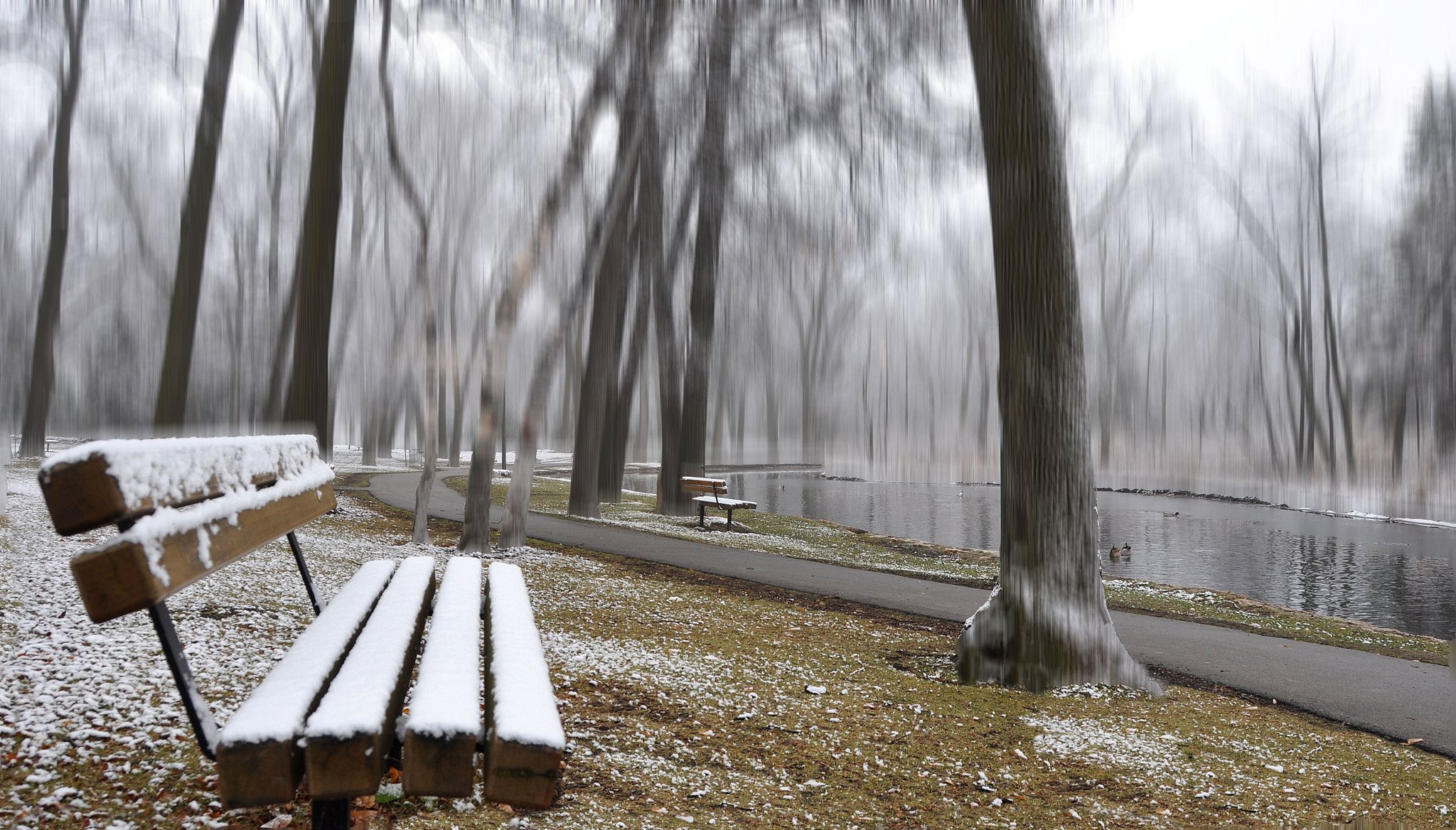 parc étang passerelle banc arbres automne neige