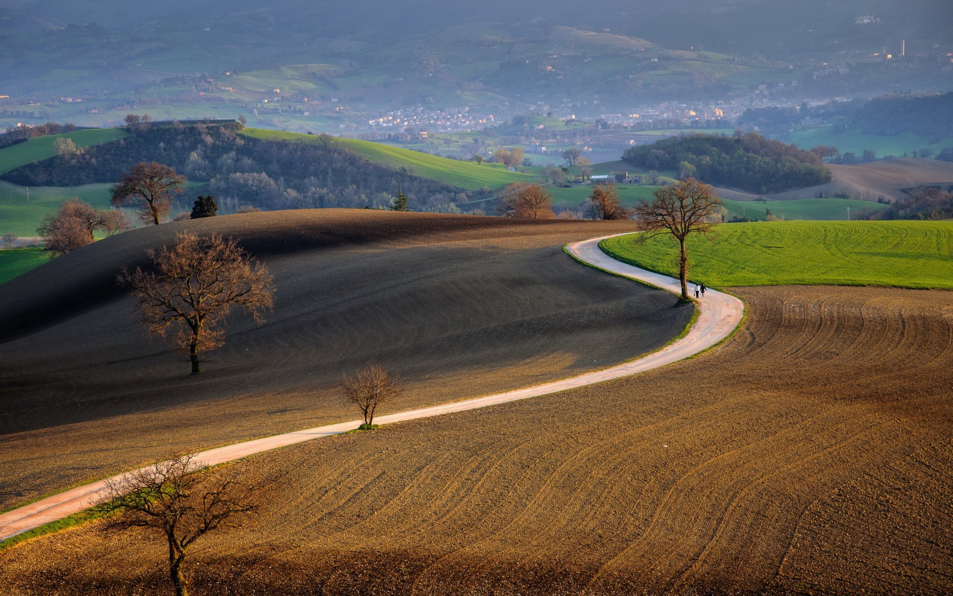 road the field landscape nature