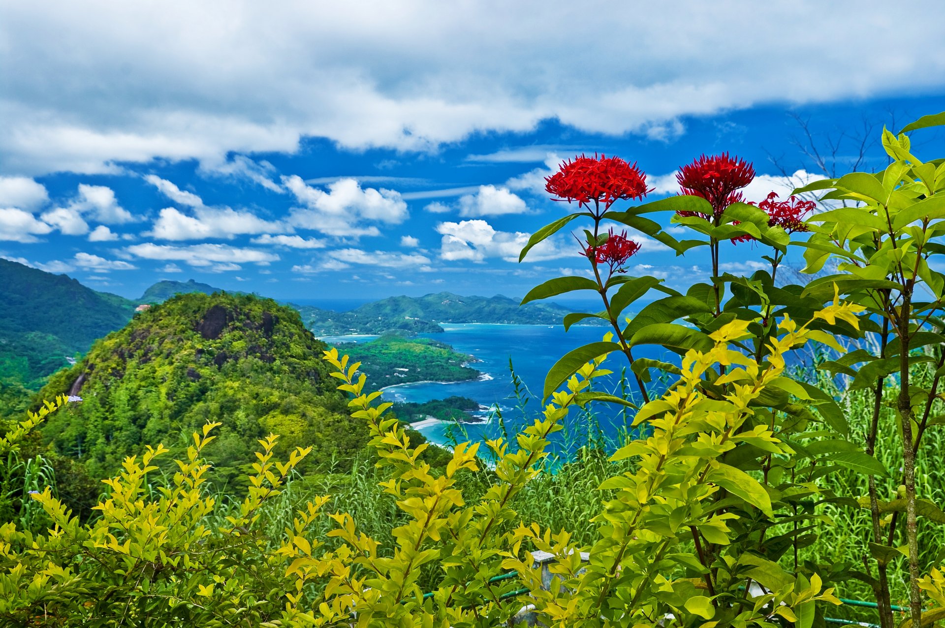 natur landschaft berge bäume sträucher blumen wolken