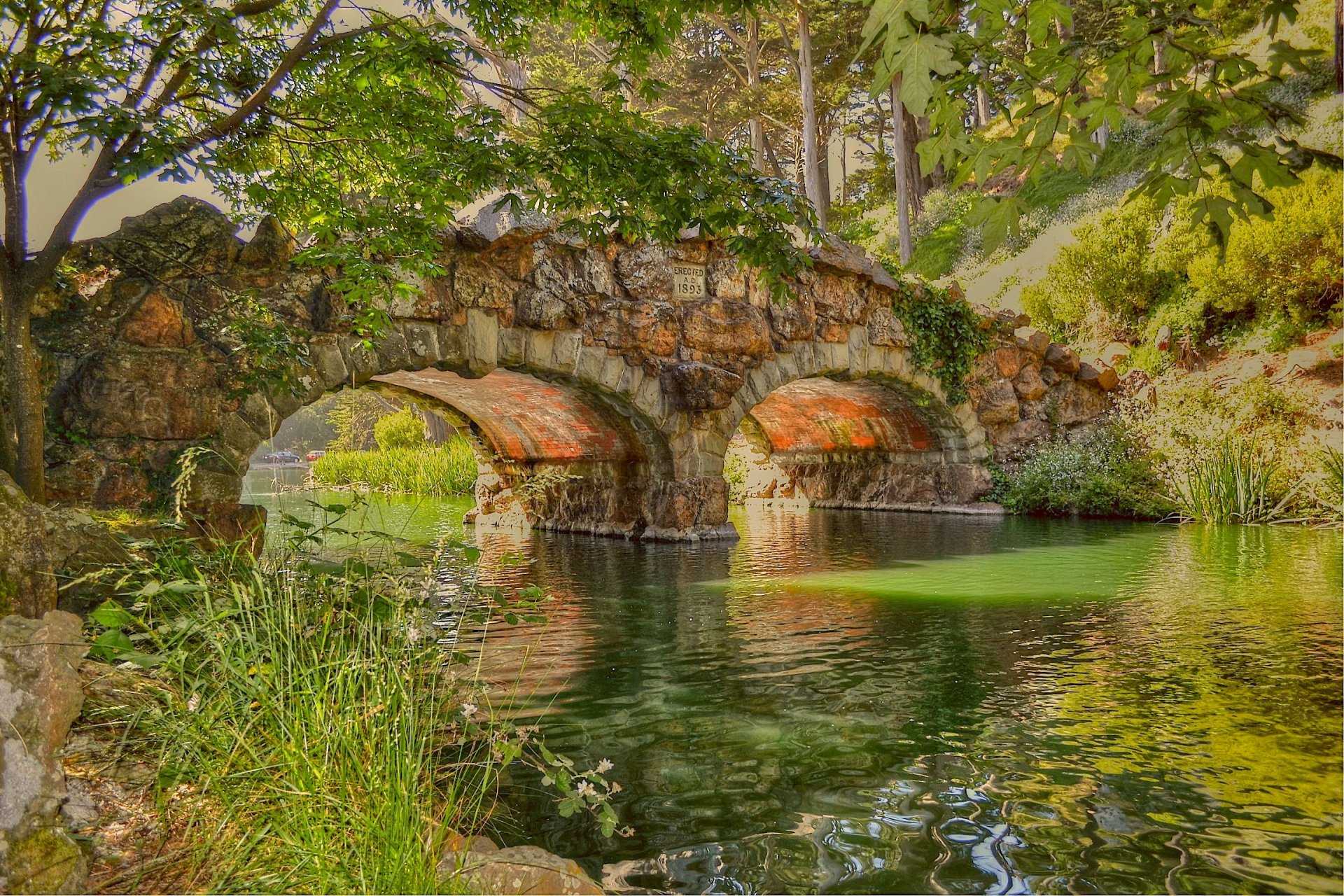 river shore bridge stone tree foliage