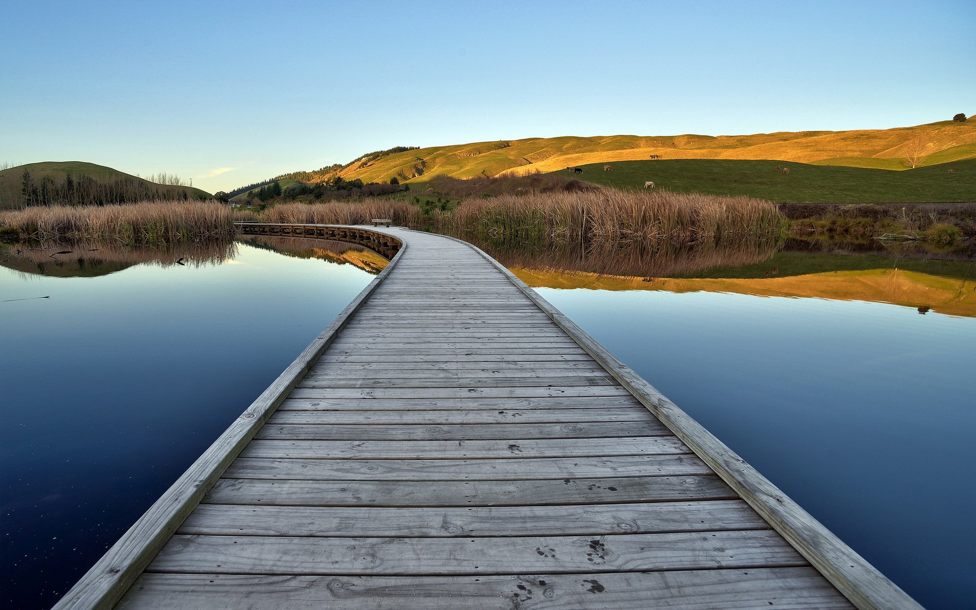 lake bridge landscape