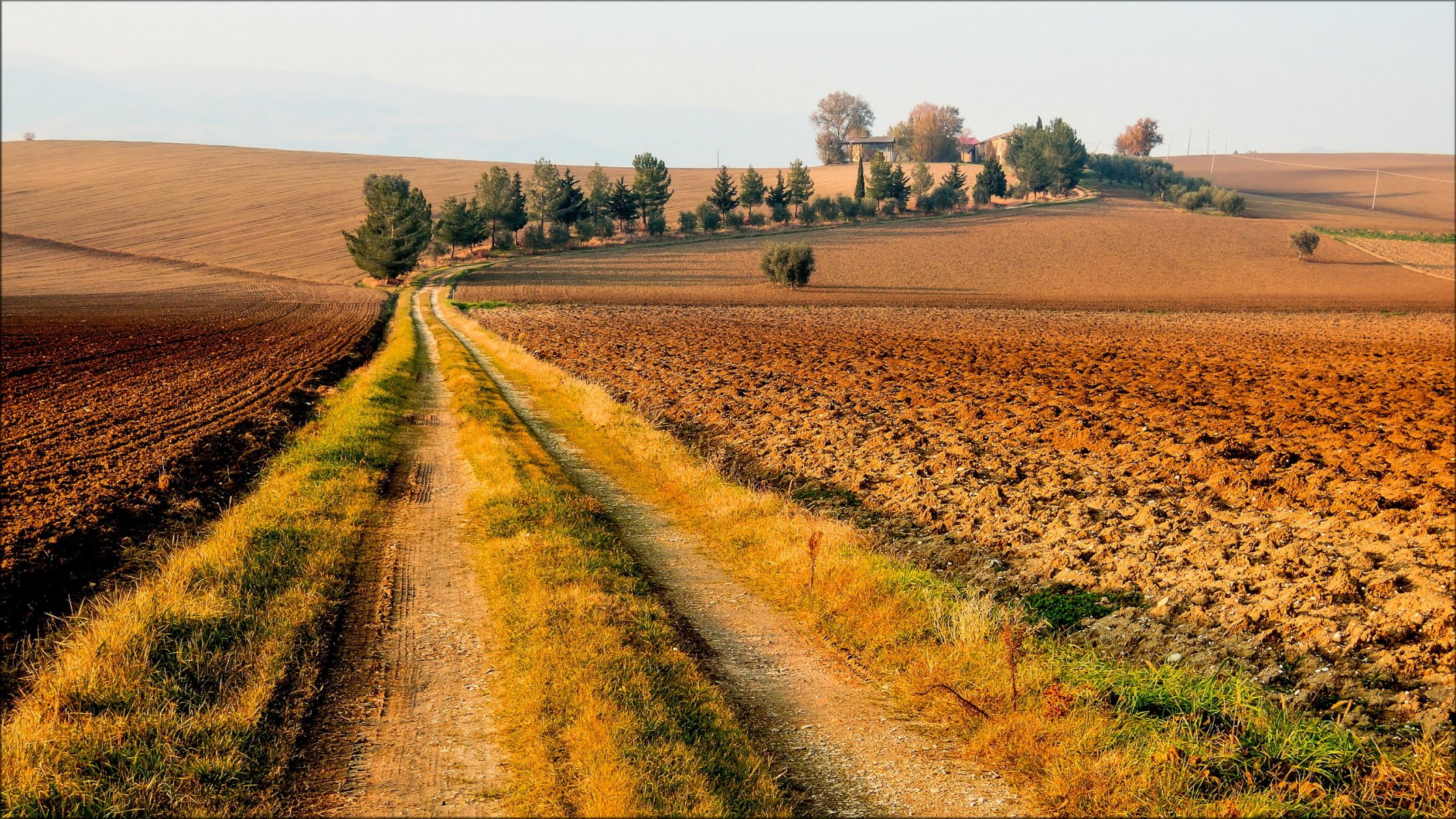 campo camino paisaje