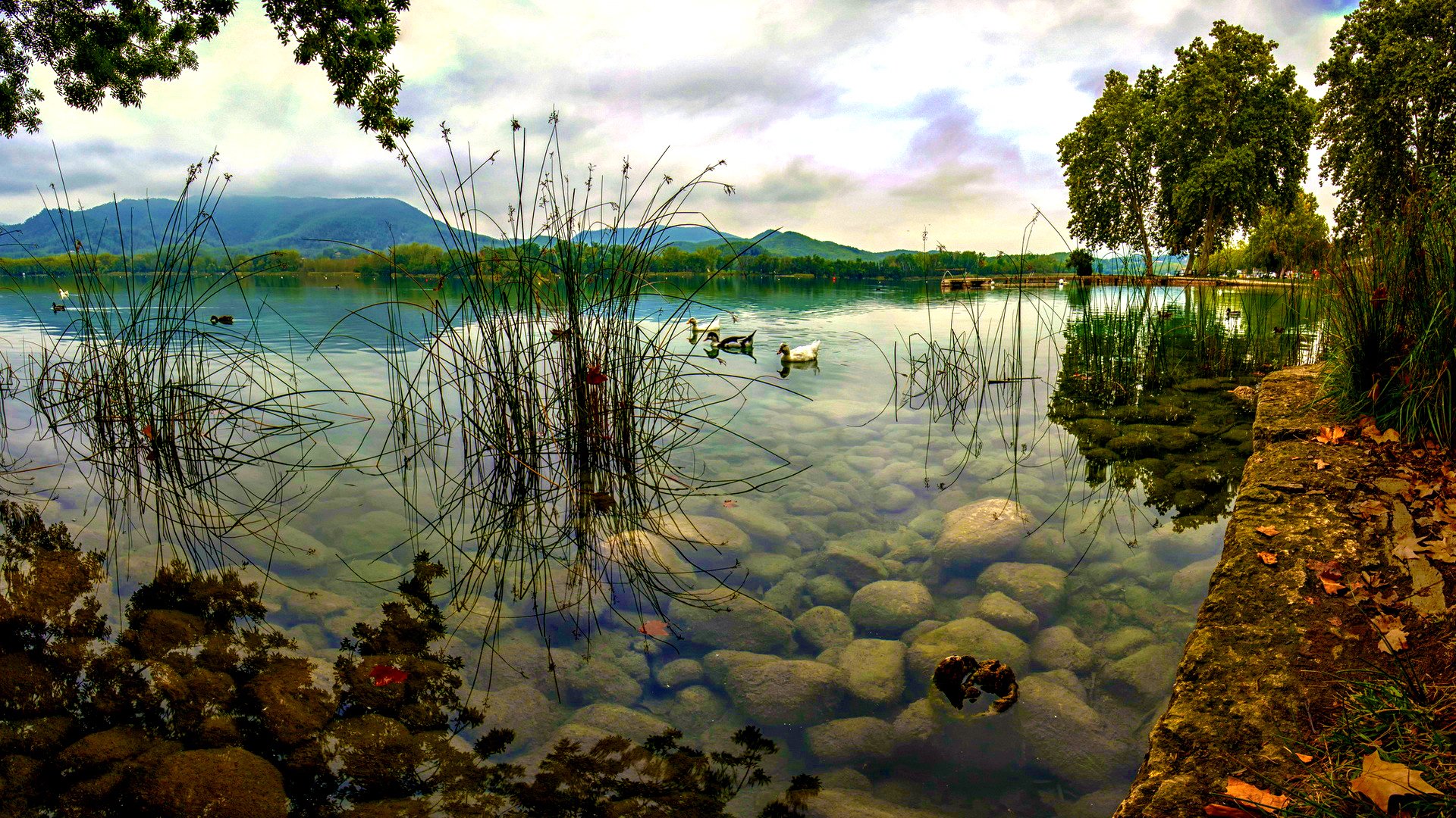 lake water landscape prirodav