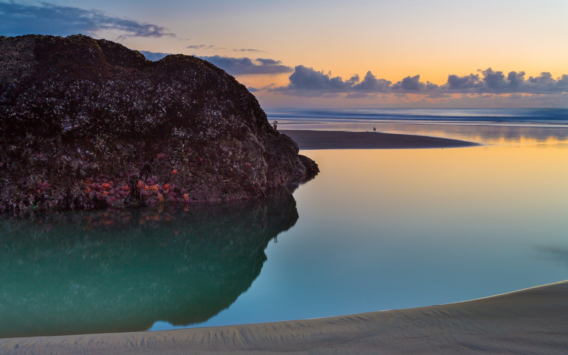 the bandon beach oregon coast usa. sunset beach ocean sunset rock