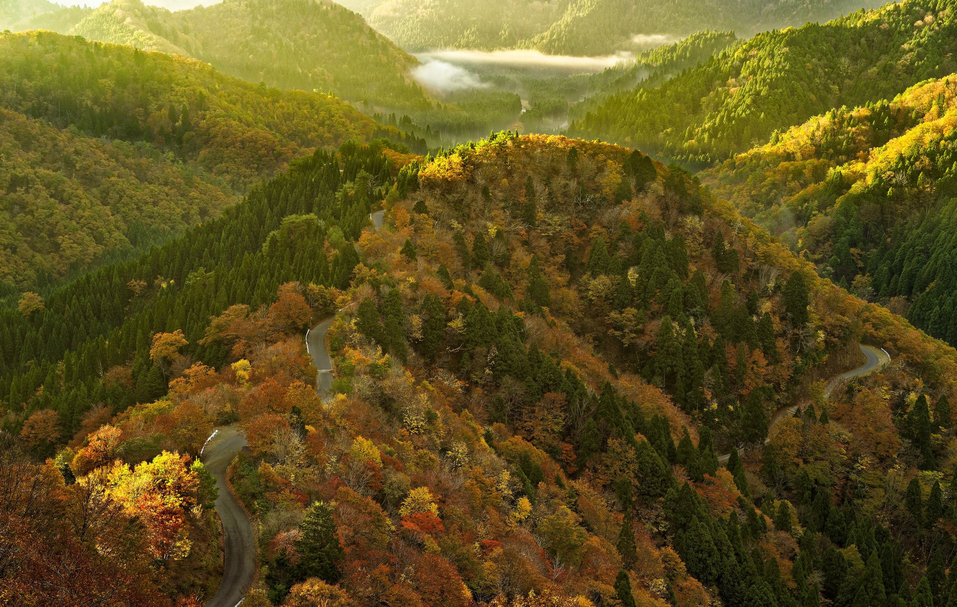 carreteras montañas árboles bosque nubes sol