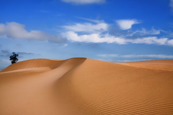 Paisaje desierto, cielo azul