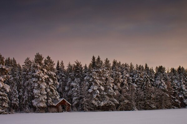 Casa ai margini della foresta in una giornata invernale