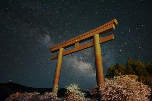 Japan s Night Milky Way through Torii Gate