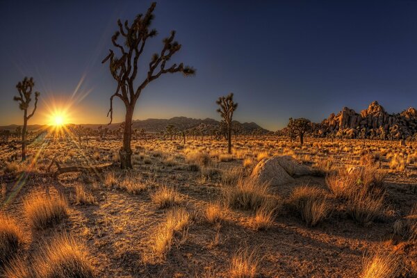 Paisaje de campo al atardecer