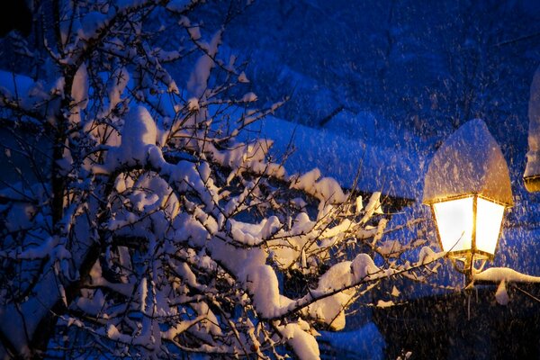 Noche de invierno brilla la linterna está nevando