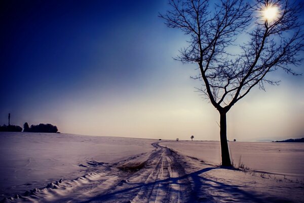 Snow path among snowdrifts