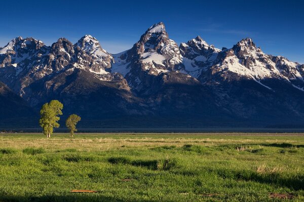 Pezzage-montagne e campo verde