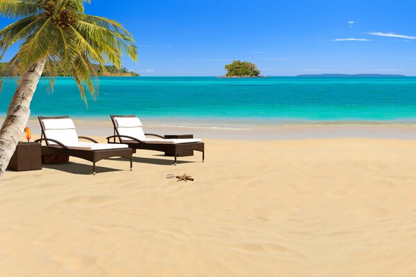 Image de deux transats sur une plage tropicale