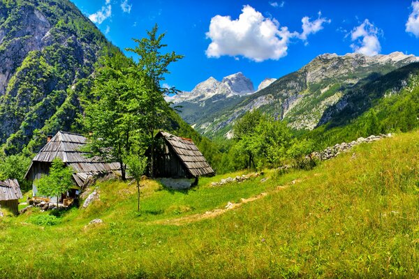 Ein Haus in den Bergen in Slowenien in Bäumen