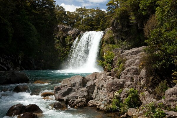 Водопад, лес в новой зеландии