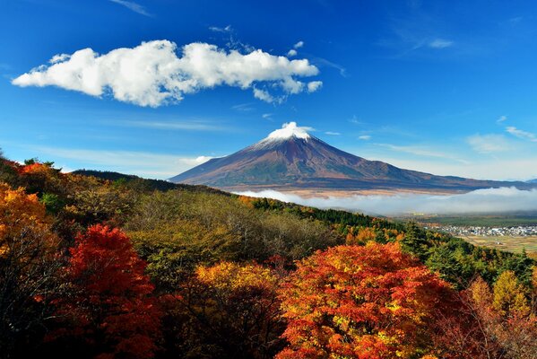 El valle era hermoso y lleno de aventuras