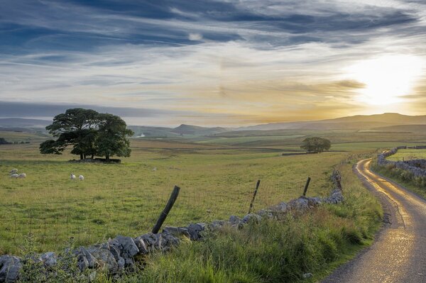 A road with a fence along the morning field