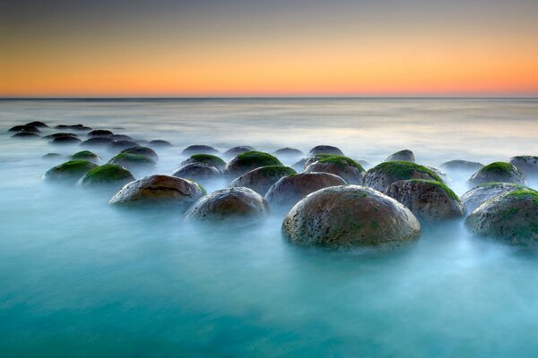 Spherical stones with algae in the sea